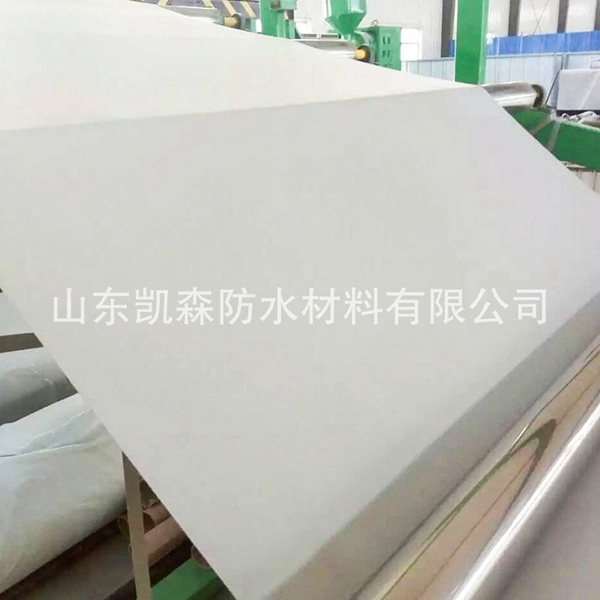 TPO 防水卷材